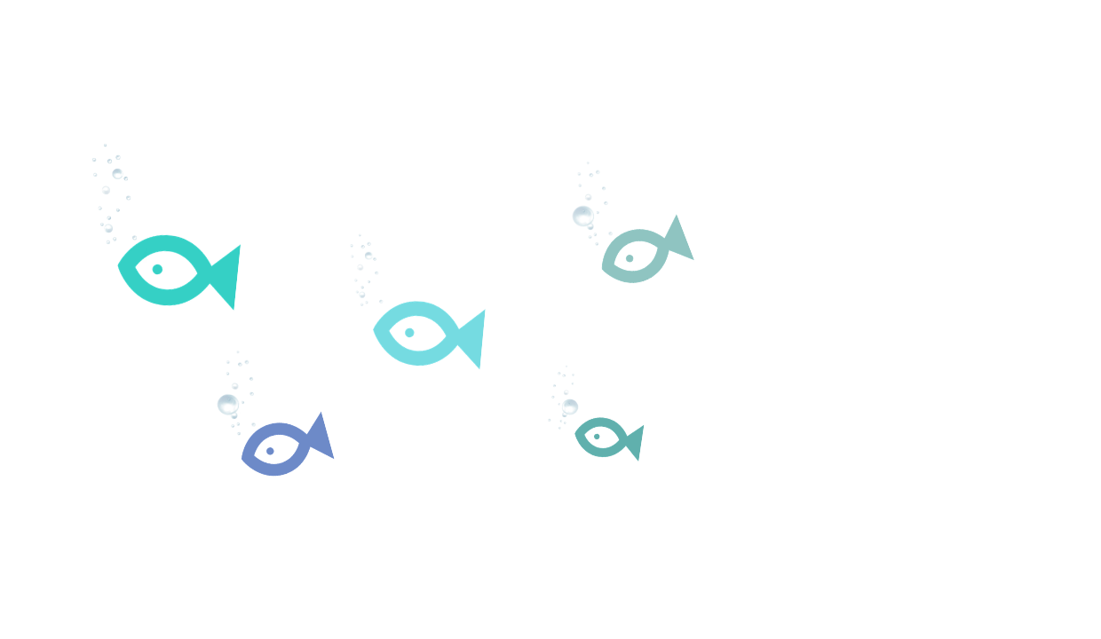 small fish on a white background