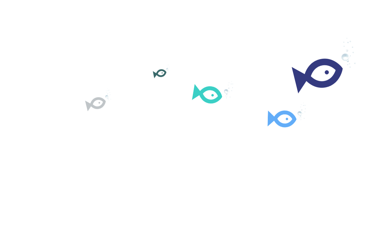 small fish on a white background