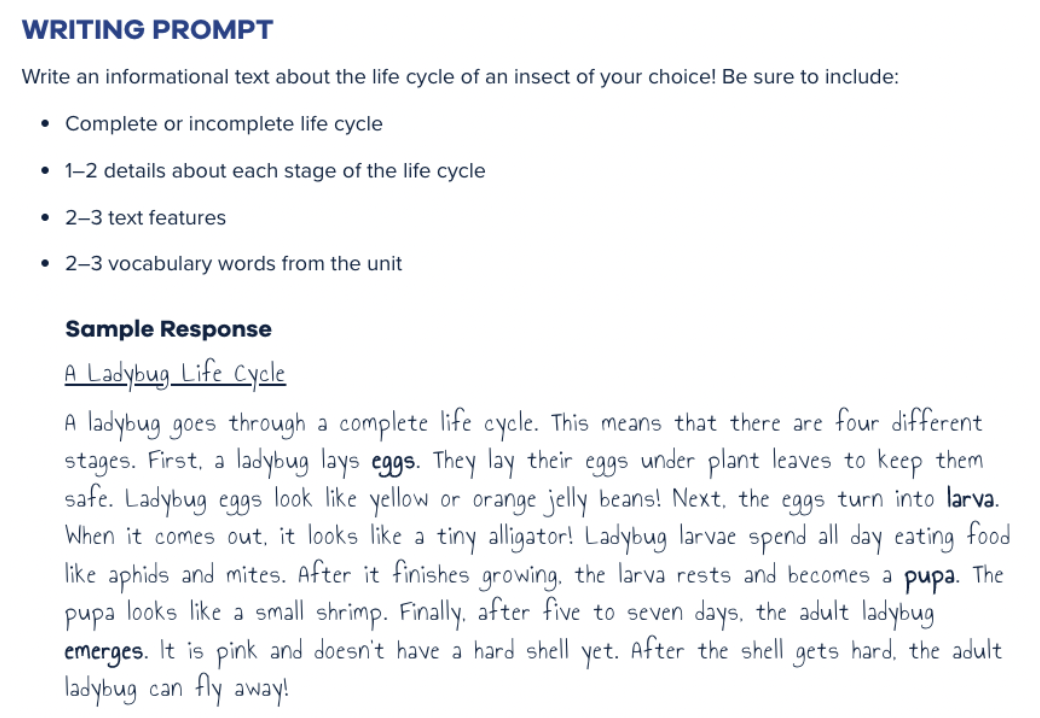 2nd Grade Writing Prompt