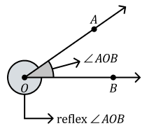 Fishtank Learning curriculum image